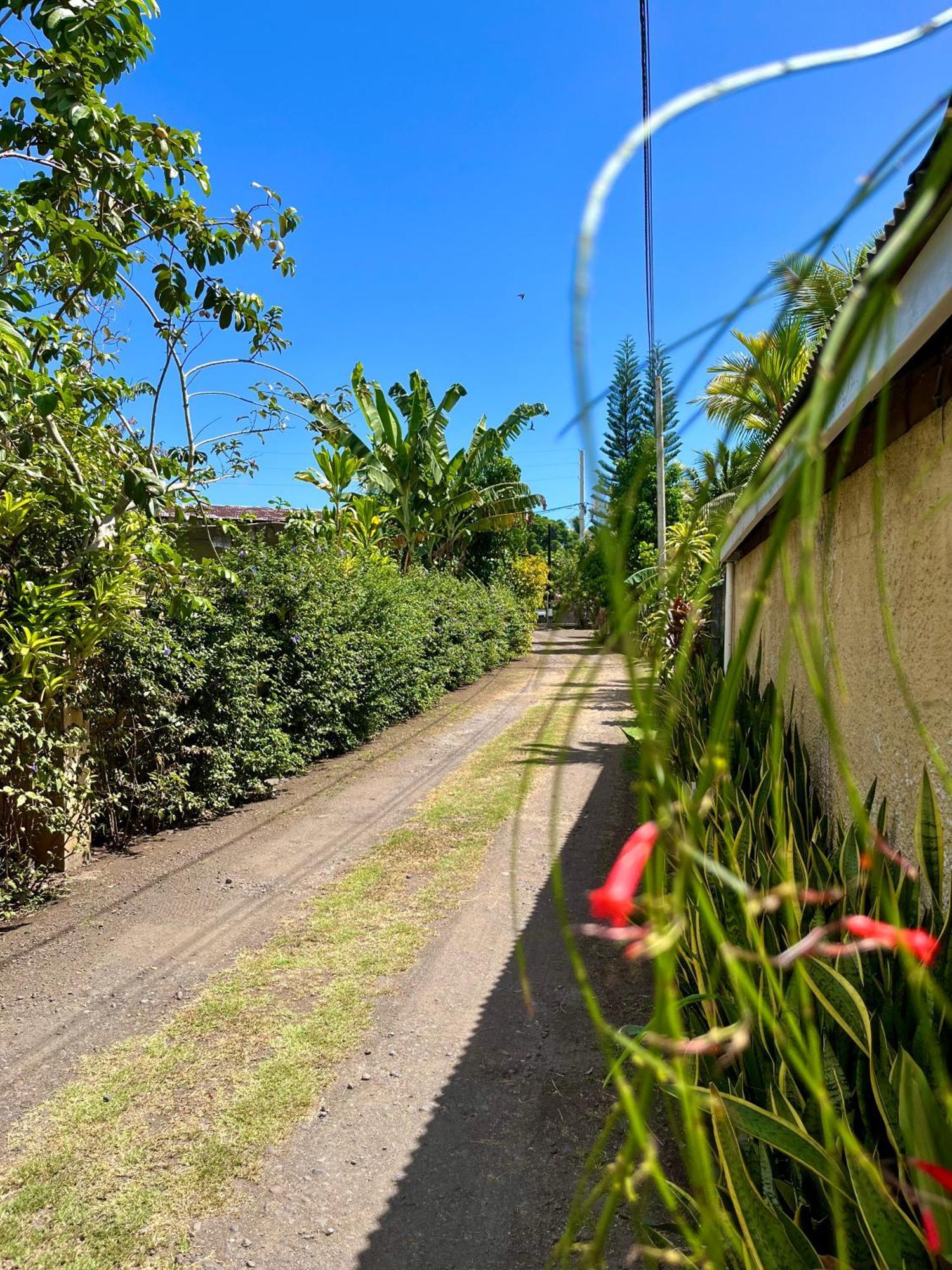 Tiaki Guesthouse - Cozy Modern Studio - 5Min Drive From The Beach And Punaauia Center Extérieur photo